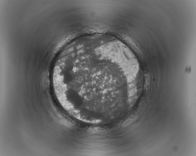 X0000089910634200707271715