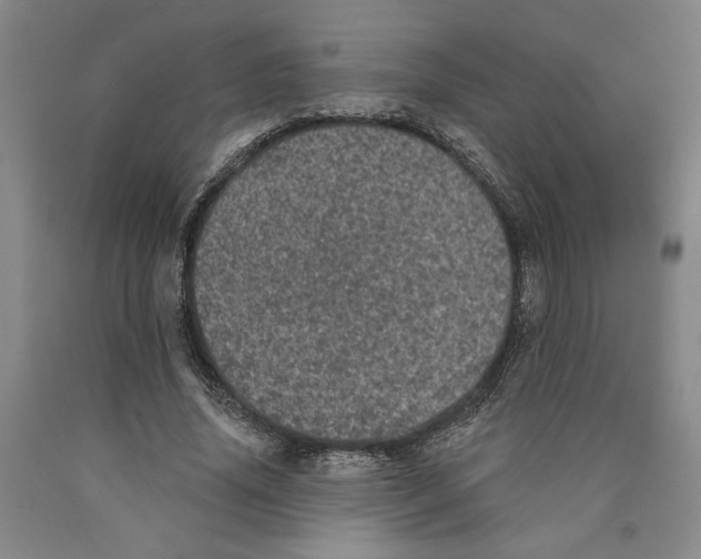 X0000089910636200707271715