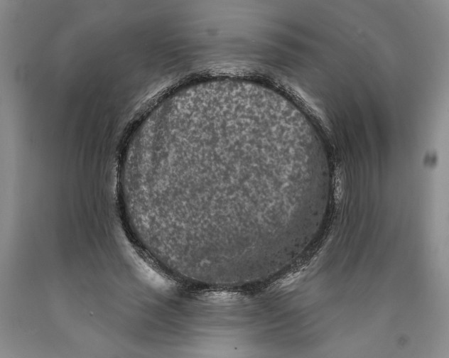 X0000089910637200707271715