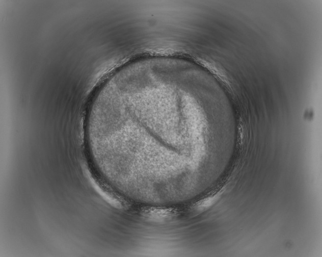 X0000089910638200707271715