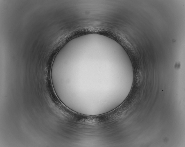 X0000089910639200707271715