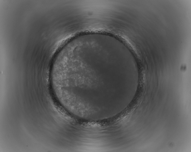 X0000089910640200707271715