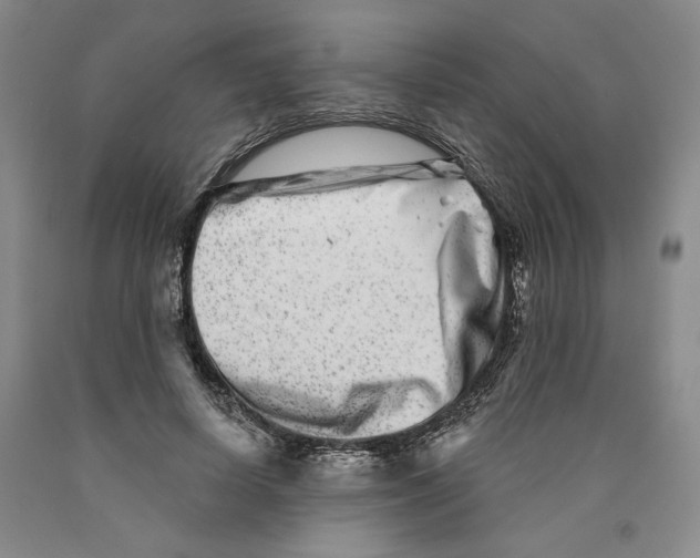 X0000089910642200707271715