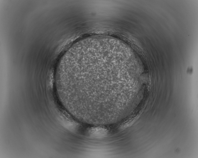 X0000089910644200707271715