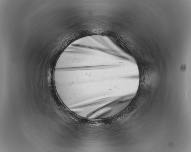 X0000089910646200707271715