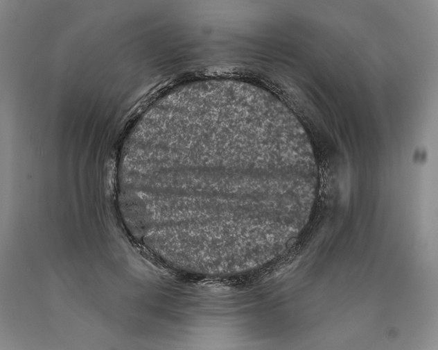 X0000089910648200707271715