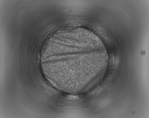 X0000089910649200707271715