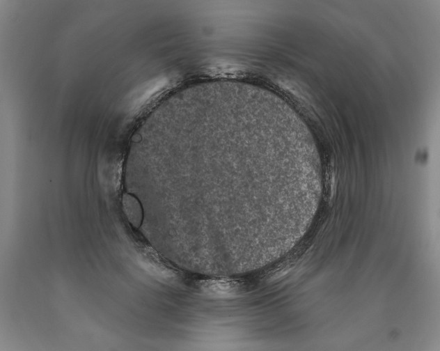 X0000089910652200707271715