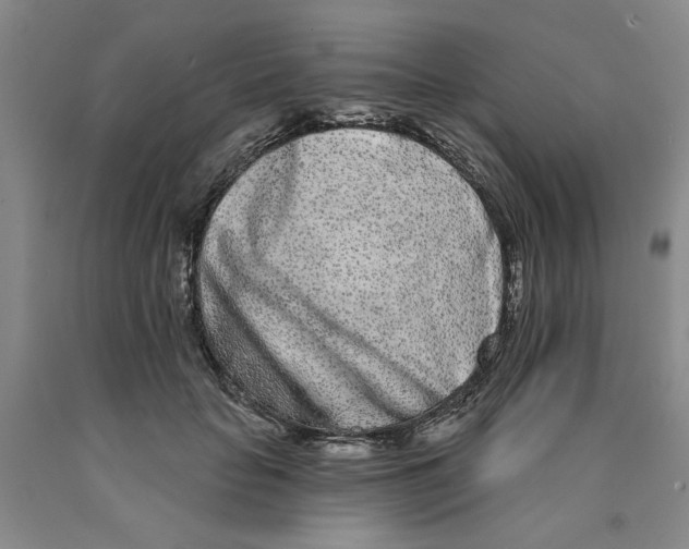 X0000089910653200707271715