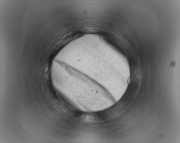 X0000089910655200707271715