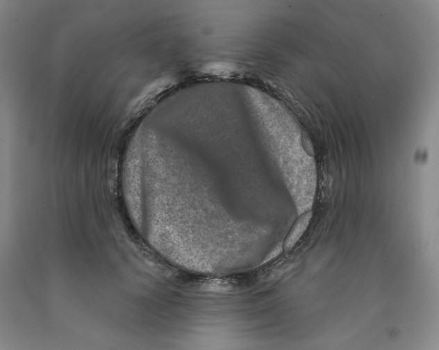 X0000089910656200707271715