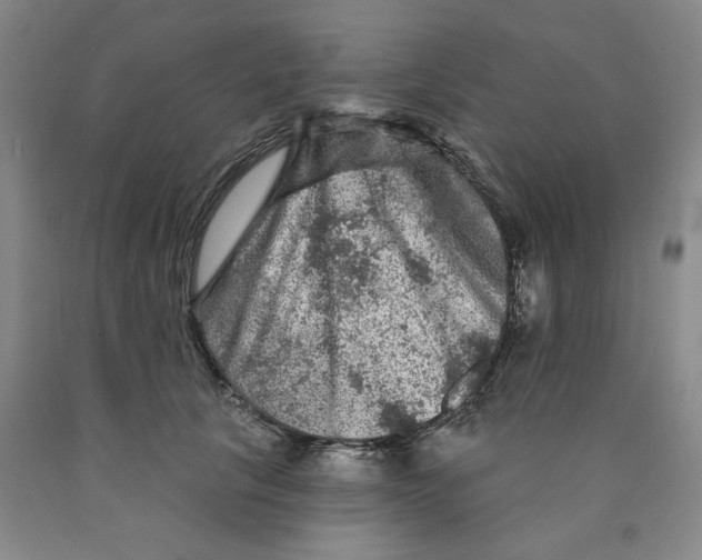 X0000089910657200707271715