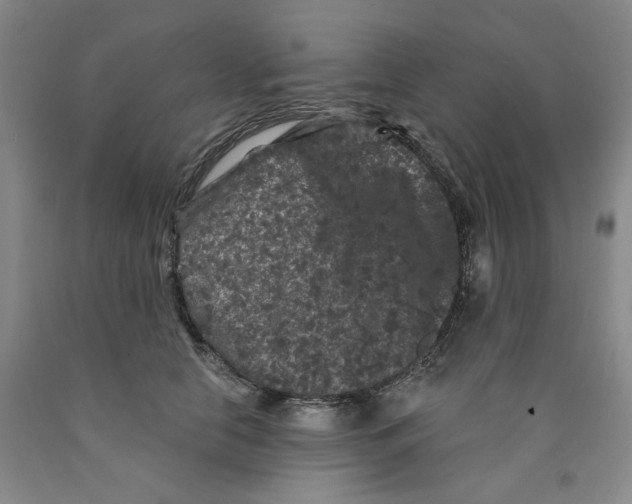 X0000089910658200707271715