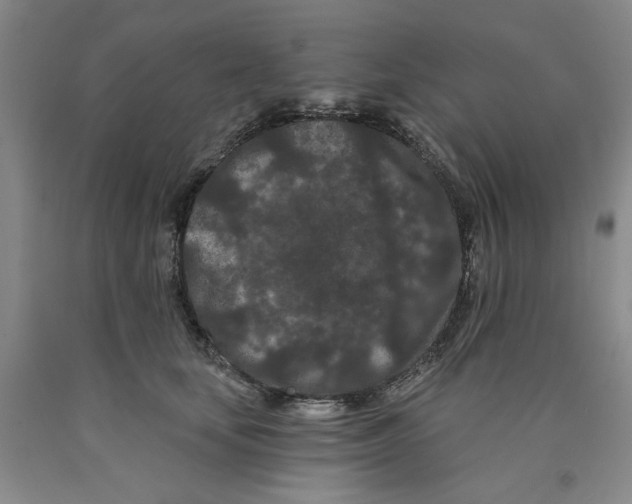 X0000089910659200707271715