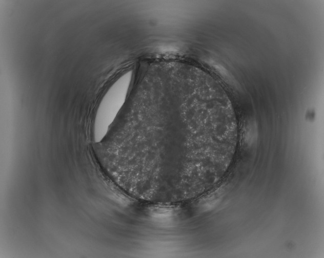 X0000089910661200707271715