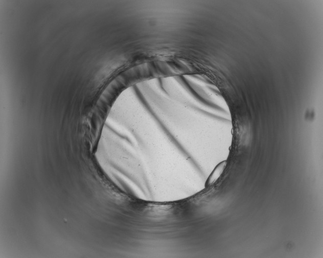 X0000089910665200707271715