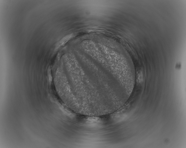 X0000089910666200707271715