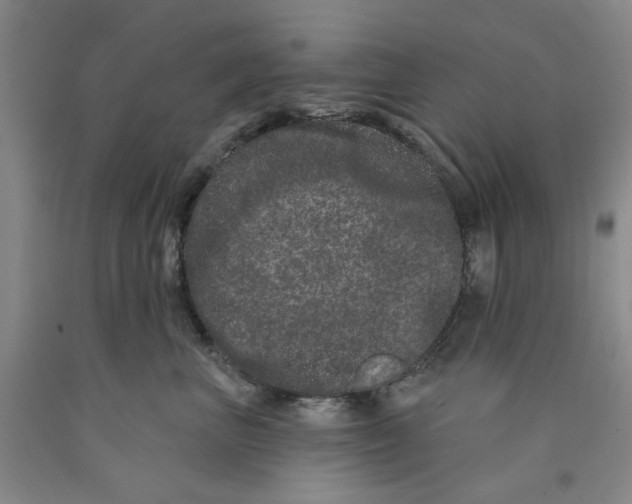 X0000089910667200707271715