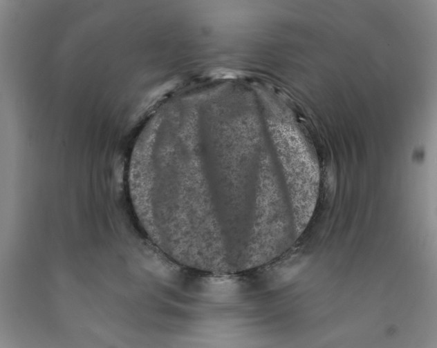 X0000089910668200707271715