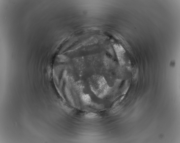 X0000089910669200707271715