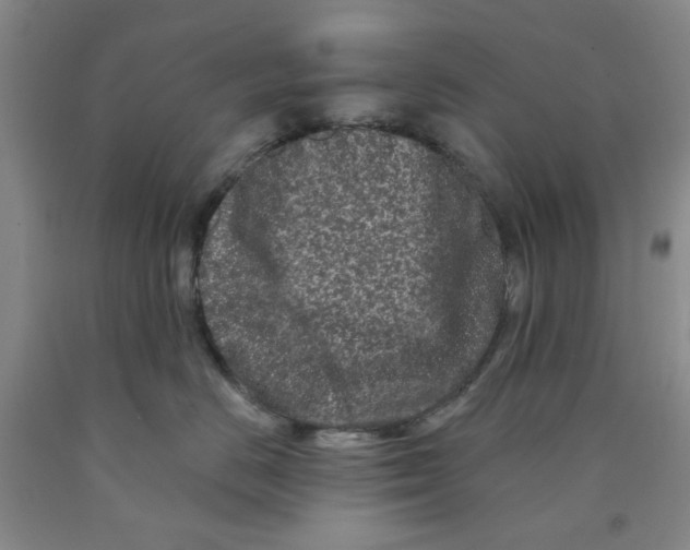 X0000089910670200707271715