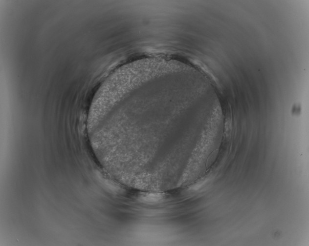 X0000089910671200707271715