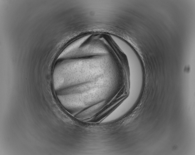 X0000089910673200707271715