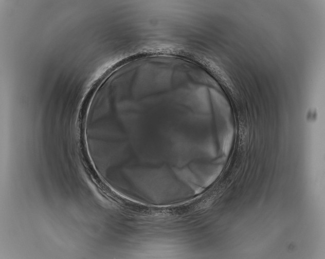 X0000089910674200707271715