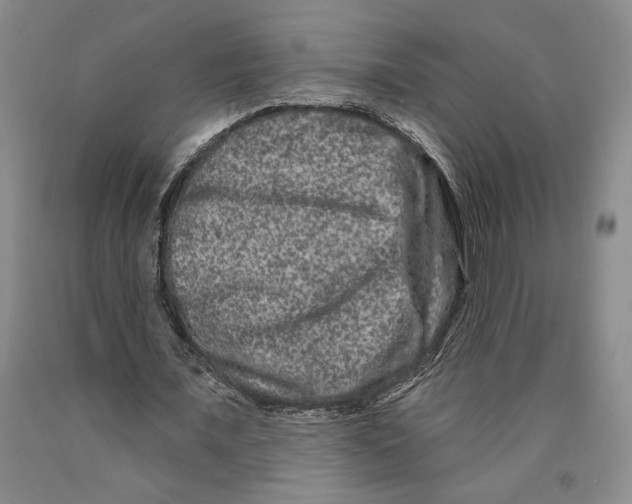 X0000089910675200707271715