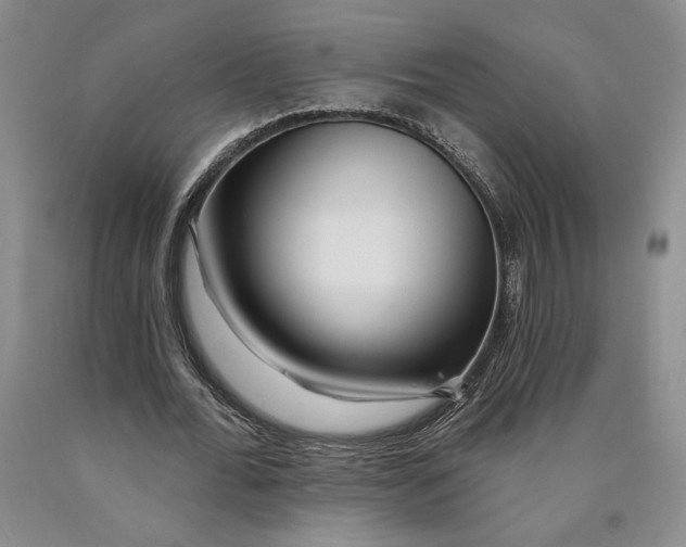 X0000089910676200707271715