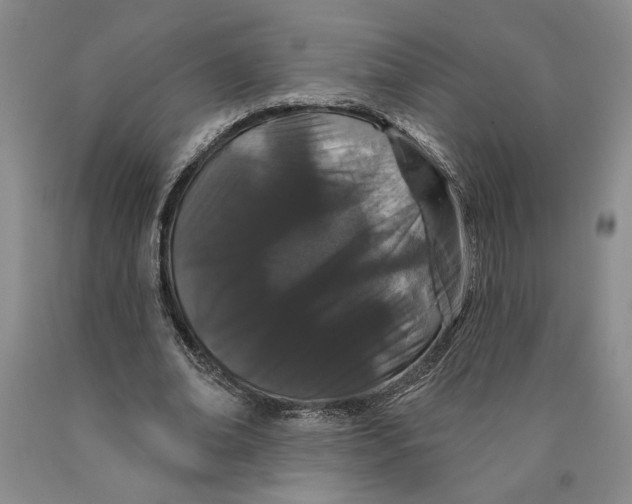 X0000089910678200707271715