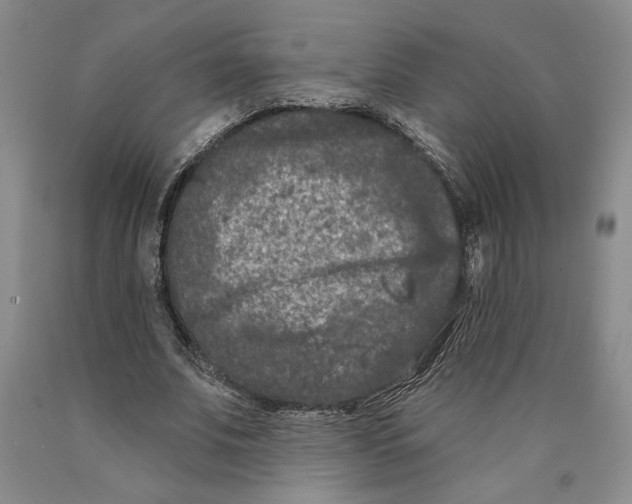 X0000089910679200707271715