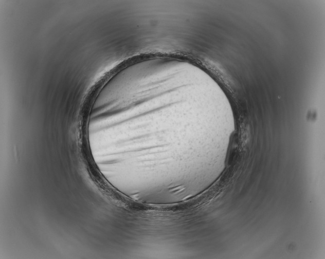 X0000089910680200707271715