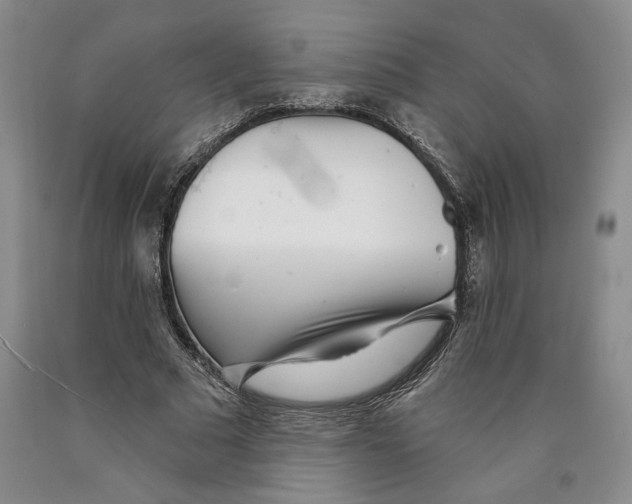 X0000089910681200707271715