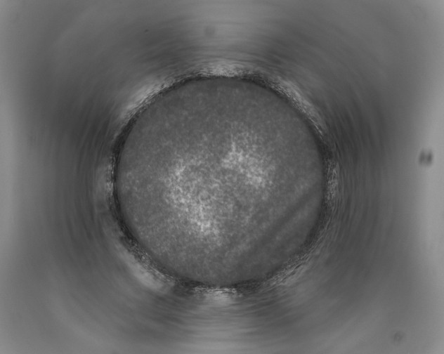 X0000089910683200707271715