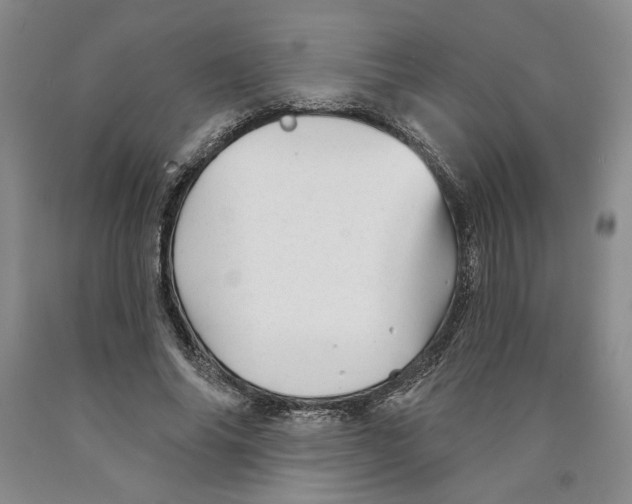 X0000089910686200707271714