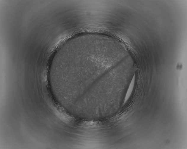 X0000089910687200707271714