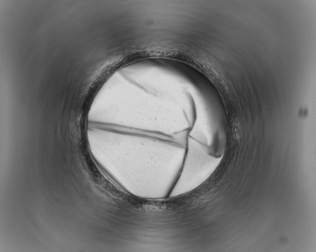 X0000089910690200707271714