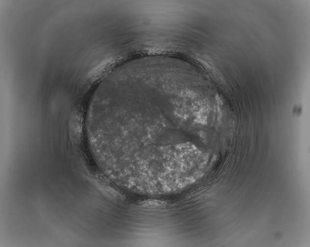 X0000089910691200707271714