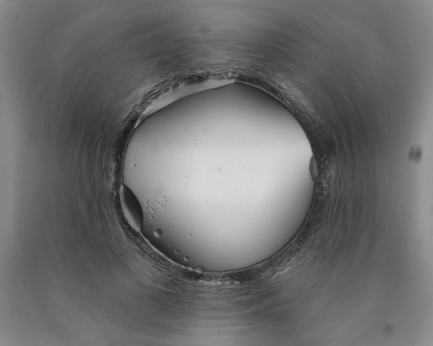 X0000089910693200707271714