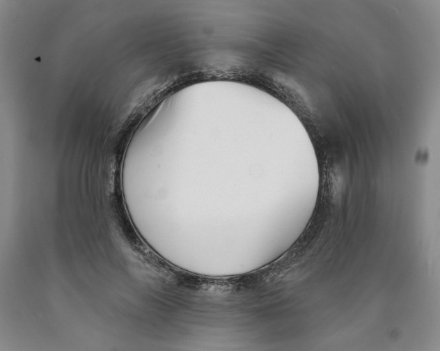 X0000089910694200707271714