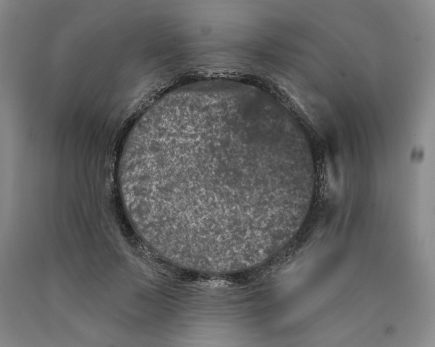 X0000089910695200707271714