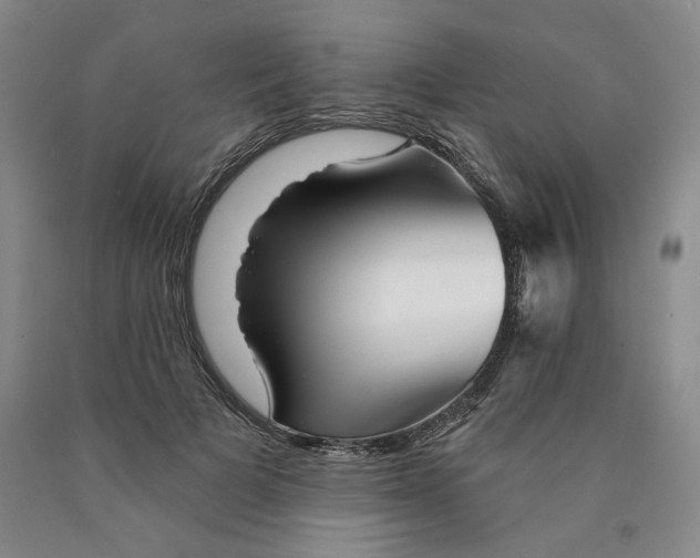 X0000089910697200707271714