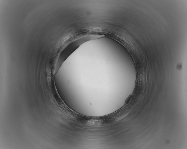 X0000089910700200707271714