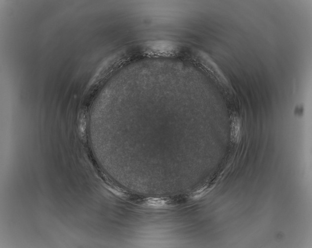 X0000089910701200707271714