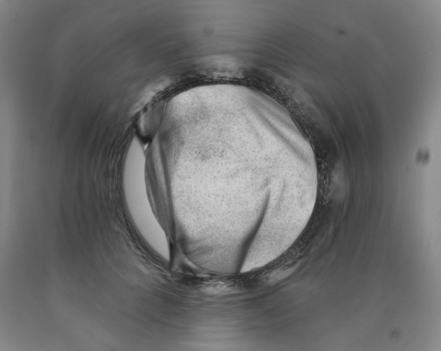 X0000089910704200707271714