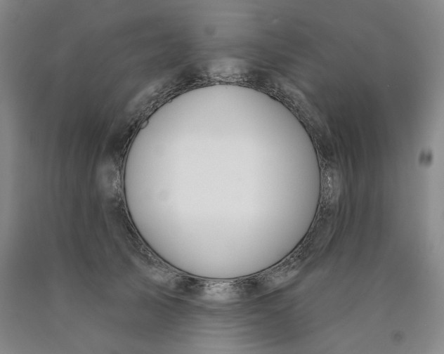 X0000089910705200707271714