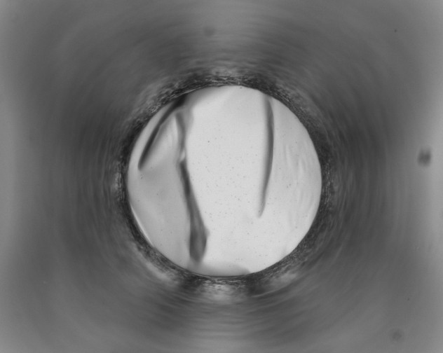 X0000089910706200707271714