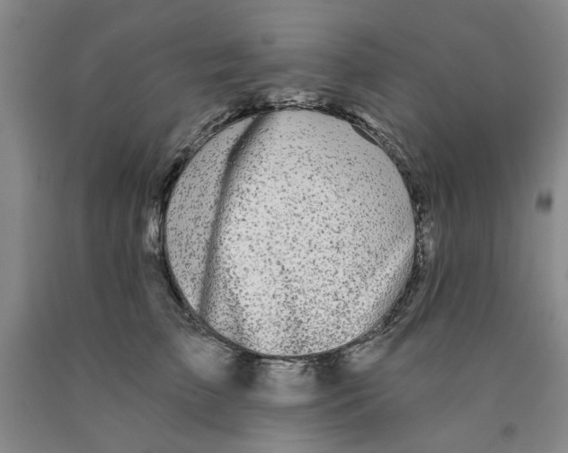 X0000089910709200707271714