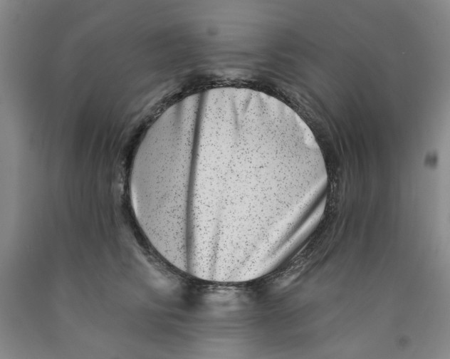 X0000089910710200707271714